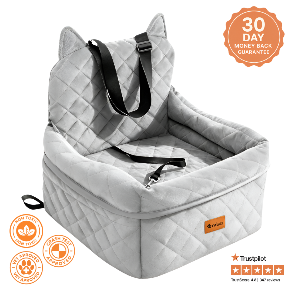Paw Cruiser Car Seat