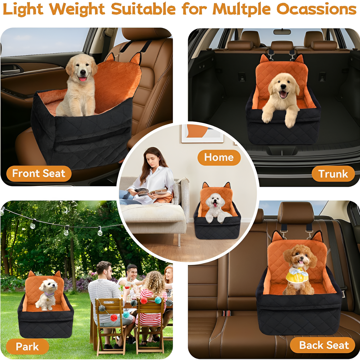 Paw Cruiser Car Seat